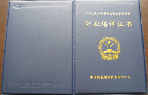 ��ɩ�I(y��)��Ӗ(x��n)�C������Ƥ��